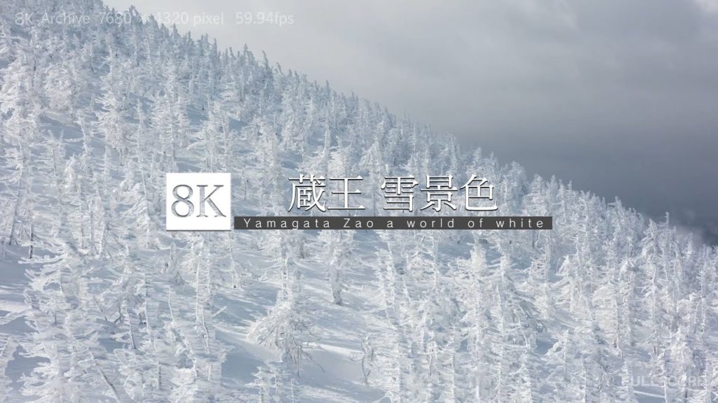 [8K footage] A world of white Zao,Yamagata【山形 蔵王 雪景色_8K】