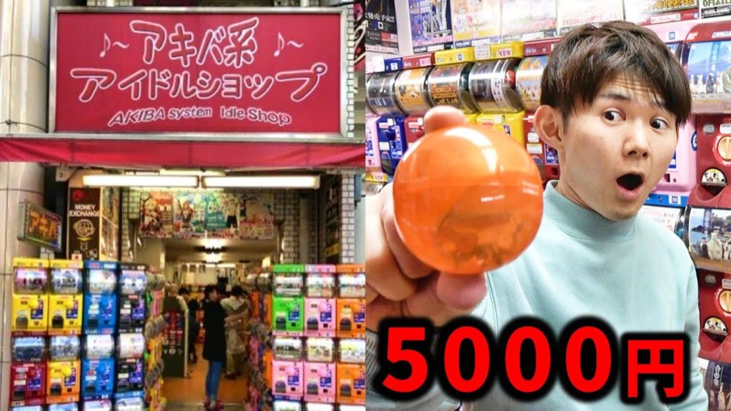 いつもと違うお店で5000円分趣味ガチャをしてみた！　akihabara tokyo