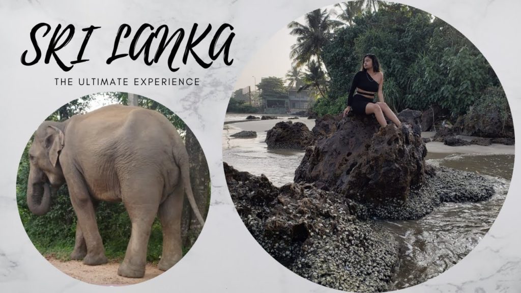 My Trip to SRI LANKA ♡ - Travel Vlog