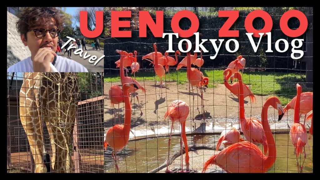 【UENO ZOO】Tokyo travel Vlog | 上野動物園 | Japan trip