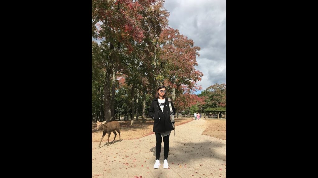 Day 5 – 12 days in KANSAI, JAPAN (關西, 日本) Osaka/ Nara/ Kobe /Kyoto @Autumn 2018 Day 5 - 12 days in KANSAI, JAPAN (關西, 日本) Osaka/ Nara/ Kobe /Kyoto @Autumn 2018