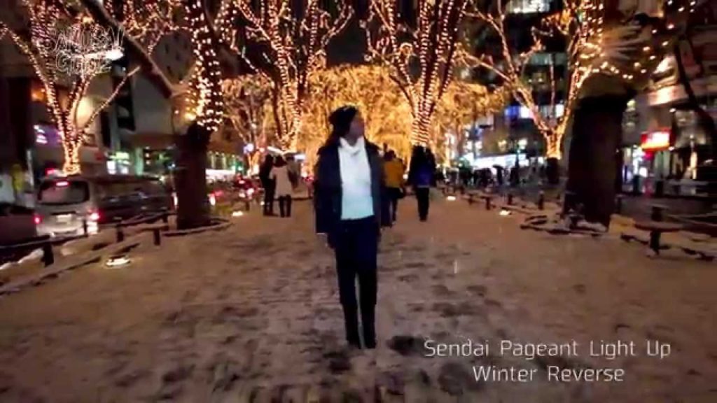 Reverse Walking Pageant Light Up, Winter in Japan