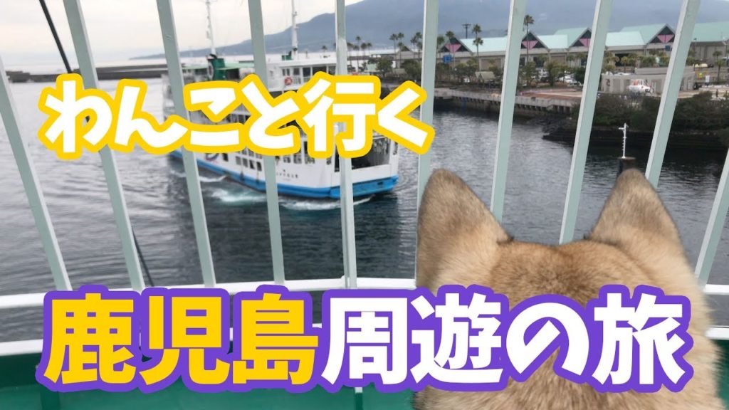 【わんこと鹿児島横断の旅】弾丸パワースポットツアー 4K 【わんこと鹿児島横断の旅】弾丸パワースポットツアー 4K
