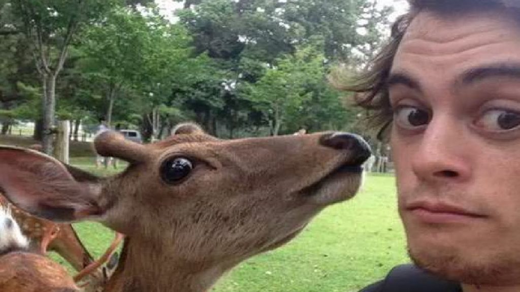 BUTT TONNE OF DEER | Japan Trip Day 11 | Damien and Kimmi