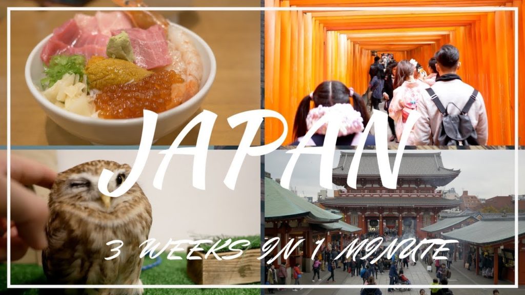 [CINEMATIC TRAILER] MY EPIC 3 WEEKS JAPAN TRIP UNDER 1 MINUTE 4K