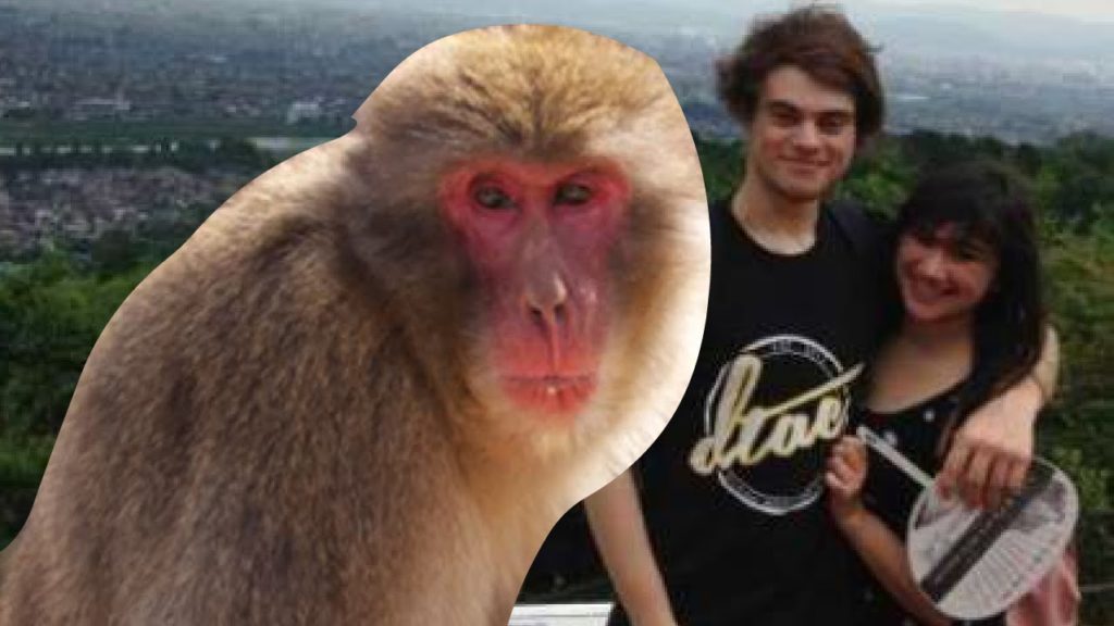 MONKEY MOUNTAIN | Japan Trip Day 12 | Damien and Kimmi