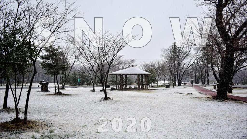 WALKING AROUND TOKYO DURING SNOW FALL 2020 /  降雪 2020