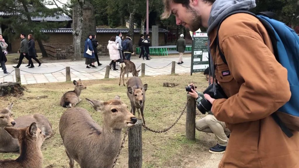 Winter Break in Japan! (Travel Montage)