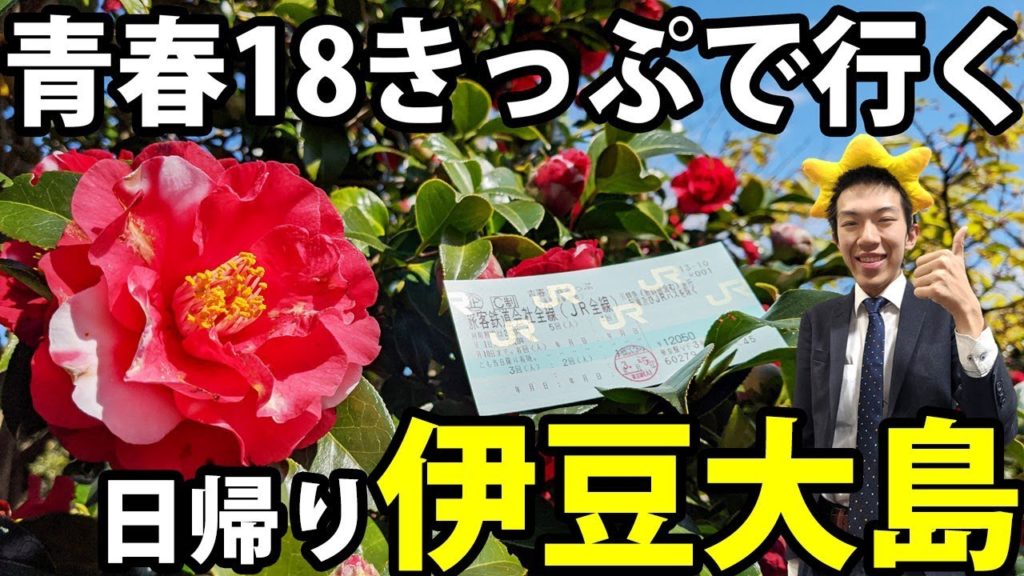 【青春18きっぷ】伊豆大島の椿まつり＆伊東温泉　コスパ重視の旅《東京駅～岡田港》