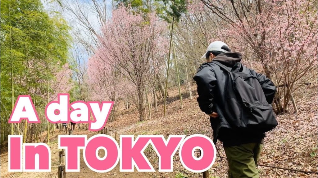 A day in TOKYO