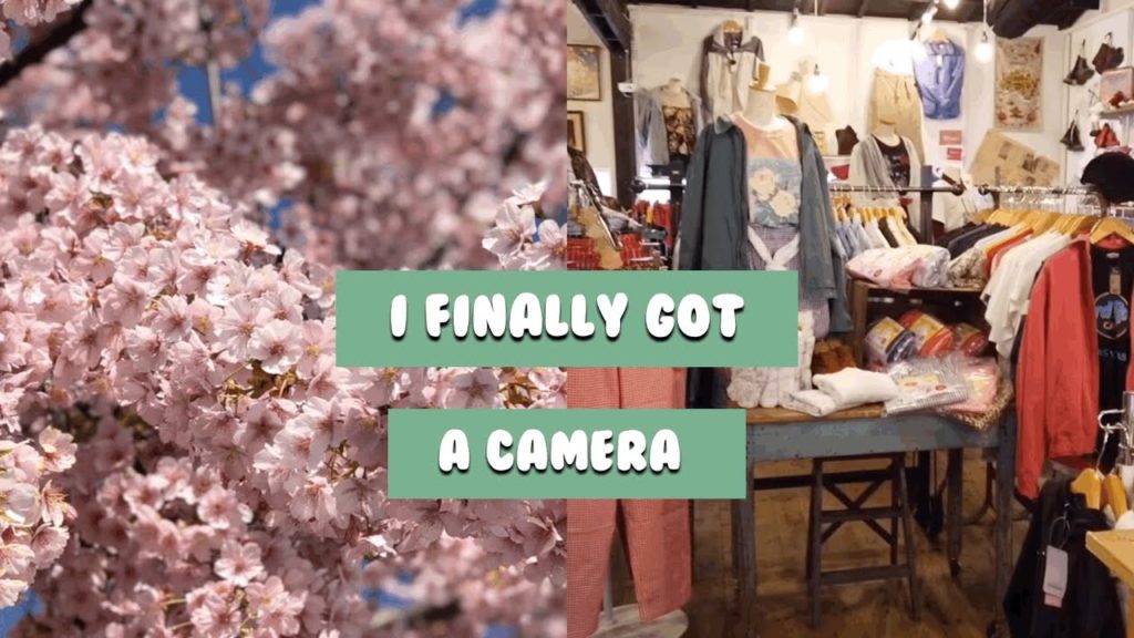 Thrifting, dried flower cafe, Sakura in KYOTO with a new camera Thrifting, dried flower cafe, Sakura in KYOTO with a new camera