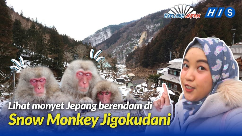 YUK INTIP SURGA PARA MONYET PADA MUSIM DINGIN DI JIGOKUDANI MONKEY PARK NAGANO JEPANG! YUK INTIP SURGA PARA MONYET PADA MUSIM DINGIN DI JIGOKUDANI MONKEY PARK NAGANO JEPANG!
