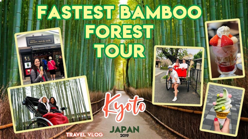 TOUR HACK – Bamboo Forest, Kyoto Japan – Travel Vlog – Day 2 of 5 (Part 2) TOUR HACK - Bamboo Forest, Kyoto Japan - Travel Vlog - Day 2 of 5 (Part 2)