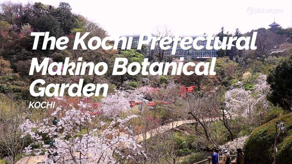The Kochi Prefectural Makino Botanical Garden, Kochi | Japan Travel Guide The Kochi Prefectural Makino Botanical Garden, Kochi | Japan Travel Guide