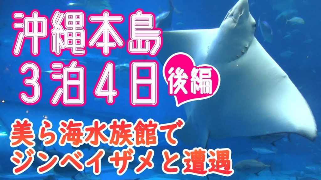 0歳児連れ沖縄旅行3泊4日＜後編＞美ら海水族館でジンベイザメと遭遇