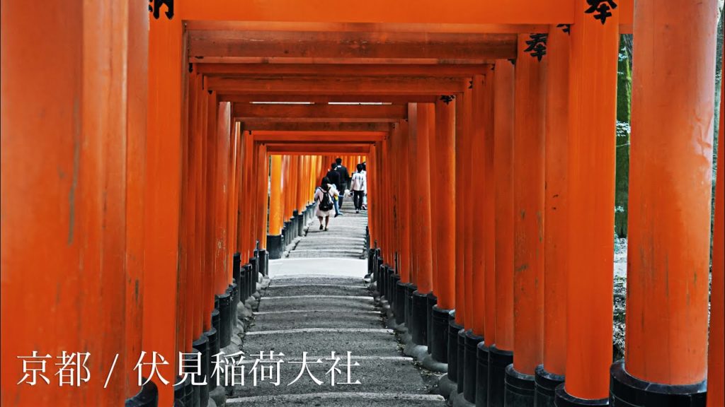 【4K】京都 / 伏見稲荷大社, Kyoto Fushimi inari shrine Street View