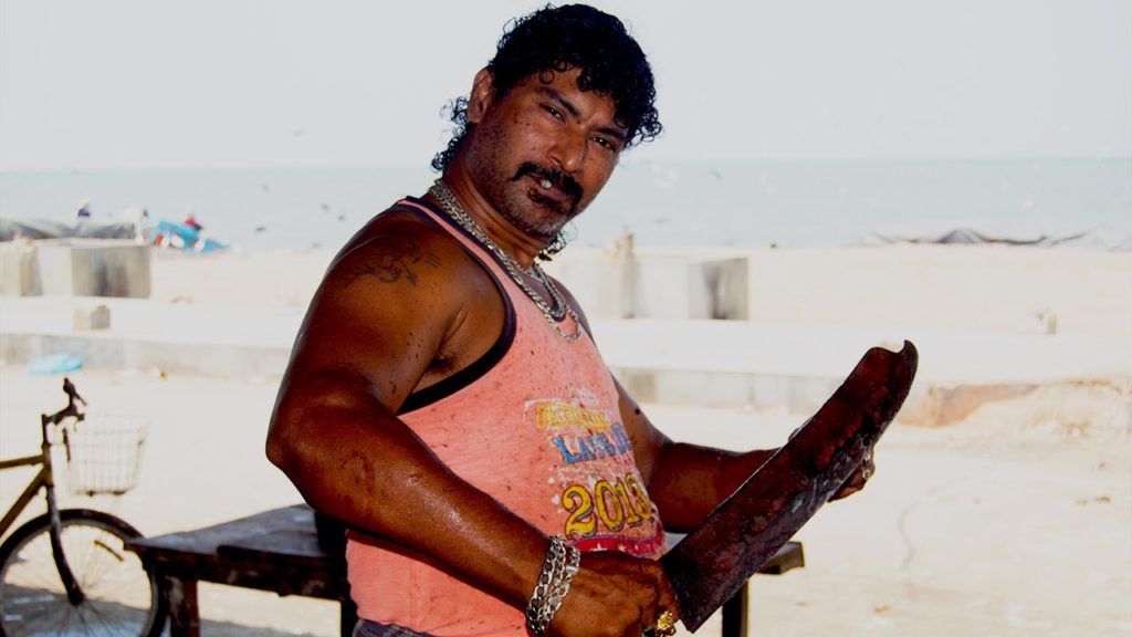 Fish Cutting Skills | Skills Work Super Fast and Efficient Fish Cutting