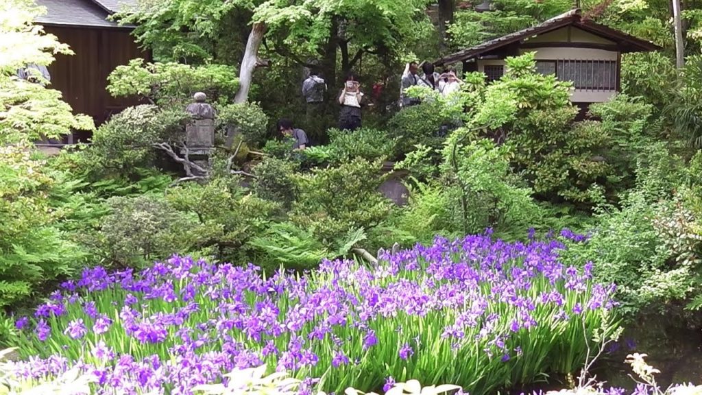 Nezu Museum at Aoyama 根津美術館 Architecture and Japanese Garden – TOKYO TRIP, JAPAN Nezu Museum at Aoyama 根津美術館 Architecture and Japanese Garden - TOKYO TRIP, JAPAN