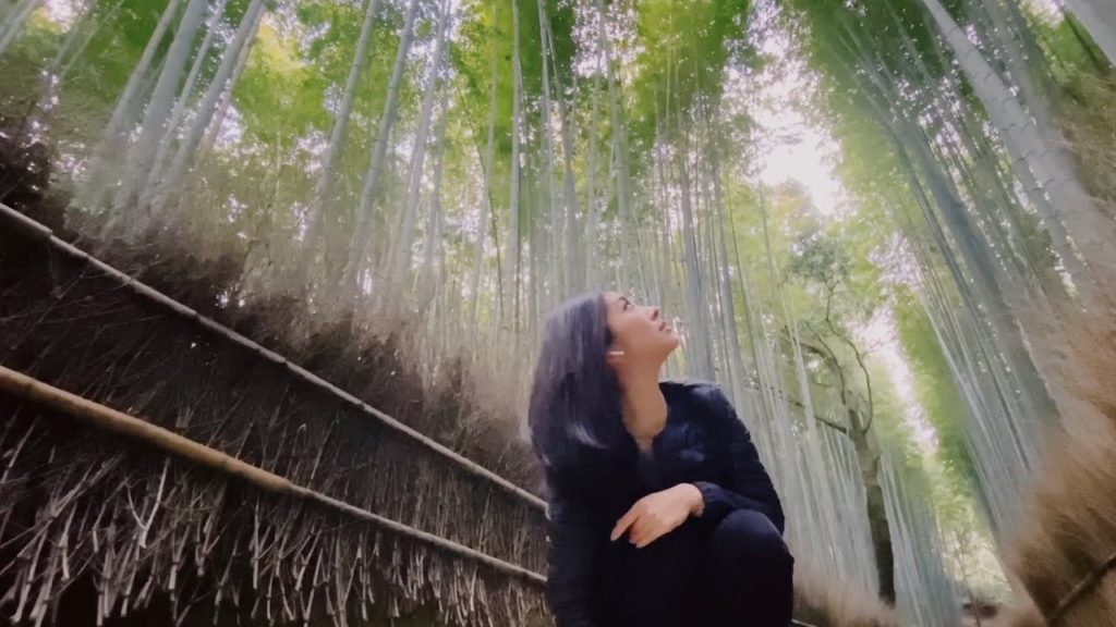 직장인VLOG | Travel Diary: 48 Hours in Kyoto & Osaka 🇯🇵🍃 | Japan Vlog Part 1 | 교토 오사카 일본 직장인VLOG | Travel Diary: 48 Hours in Kyoto & Osaka 🇯🇵🍃 | Japan Vlog Part 1 | 교토 오사카 일본