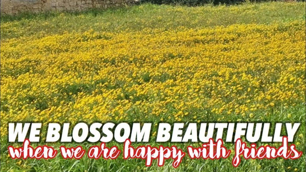 #LS2 Lets meet❤️