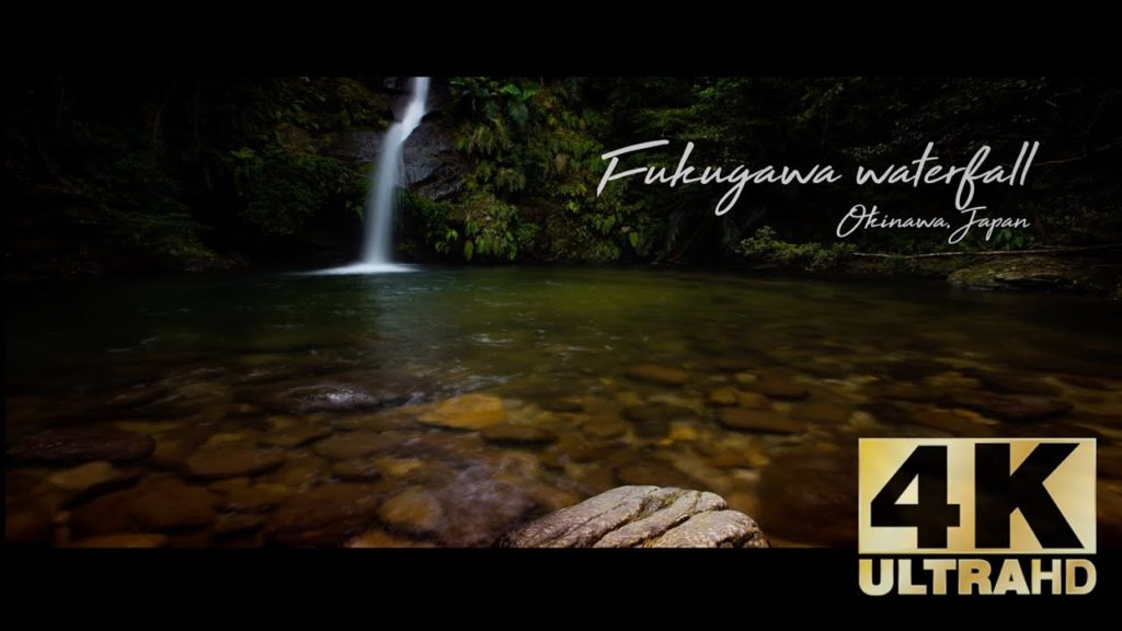 Things to do in Okinawa : Fukugawa waterfall through a dogs eyes.