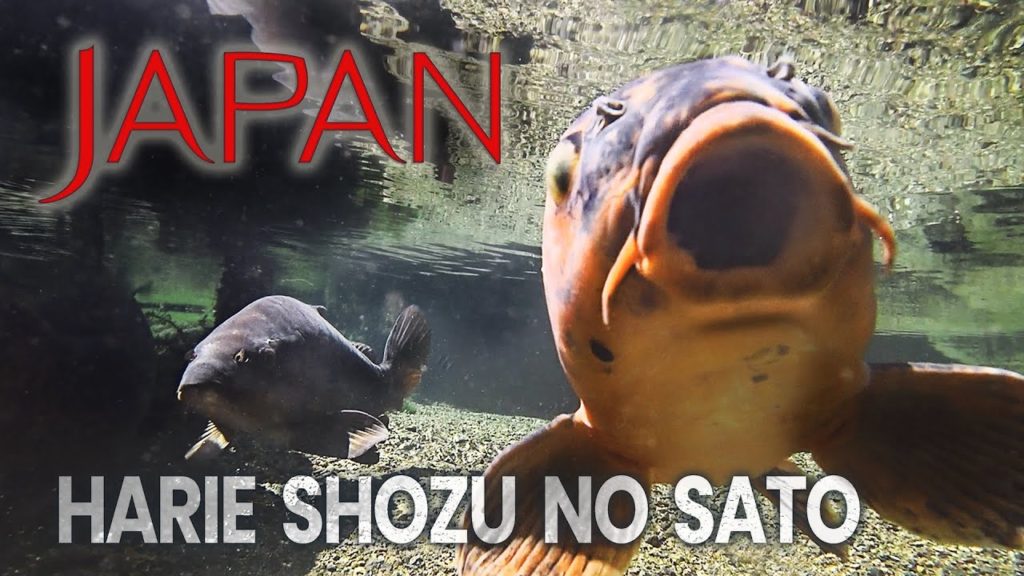 Incredible Japanese Water Village - Japan by Bike | Cycling the World 46