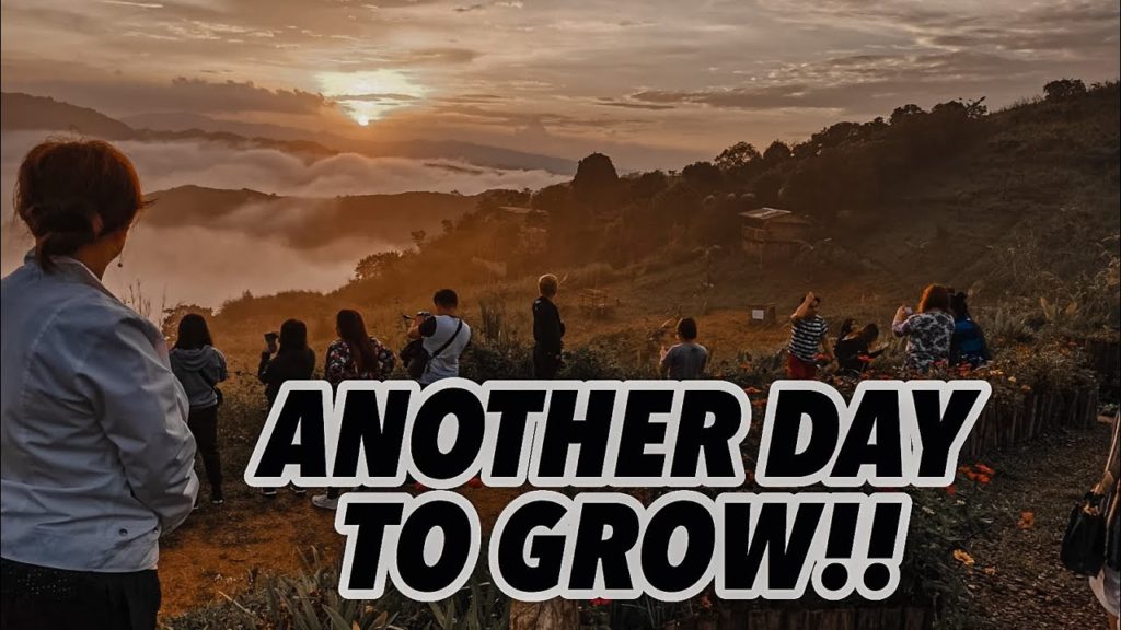 #LS4 SILENT LS part 2