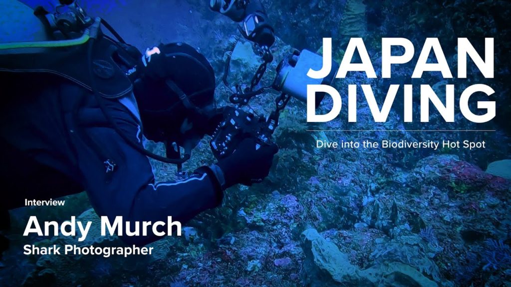 JAPAN DIVING | Interview with Andy Murch | JNTO