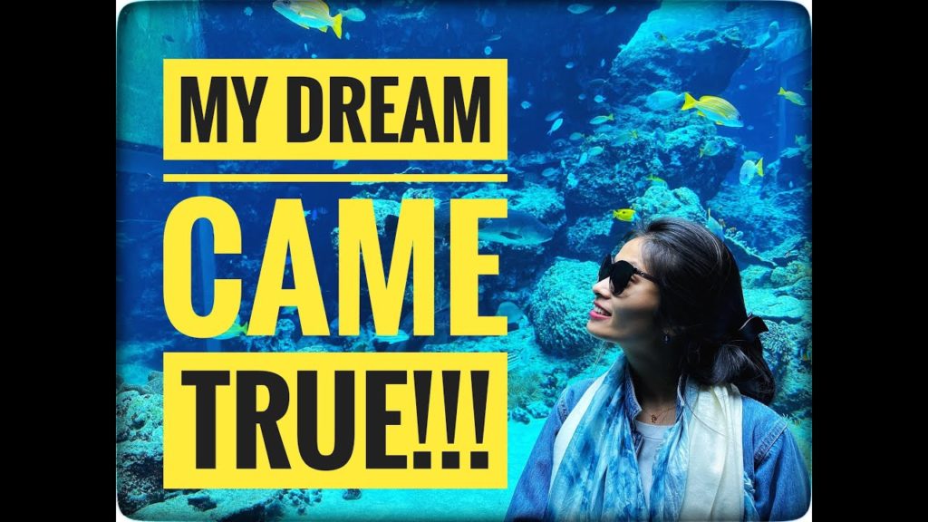 OKINAWA - my dream came true