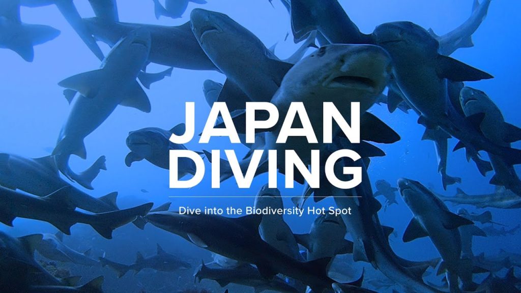 JAPAN DIVING | Dive into the Biodiversity Hot Spot | JNTO