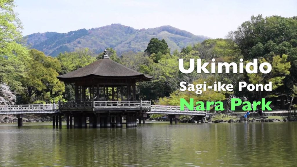 Nara Tourism | RetiNARA | Ukimido