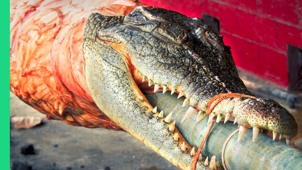 Crocodile Lechon - The most OUTRAGEOUS food in the Philippines!