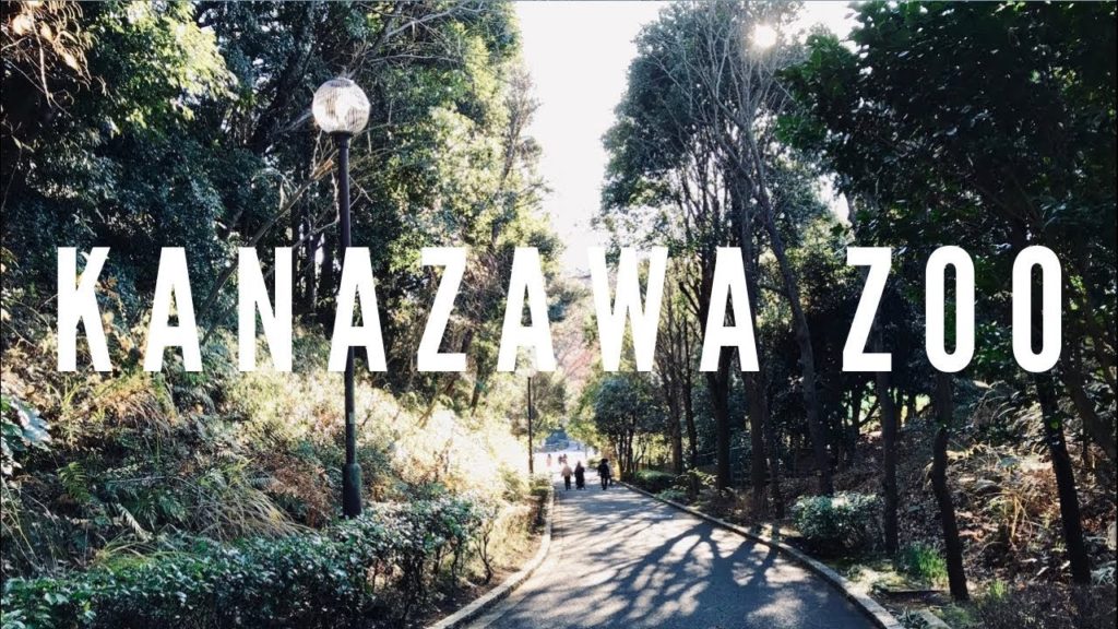 Kanazawa Zoo, Yokohama Travel Vlog in Japan 2019 🇯🇵