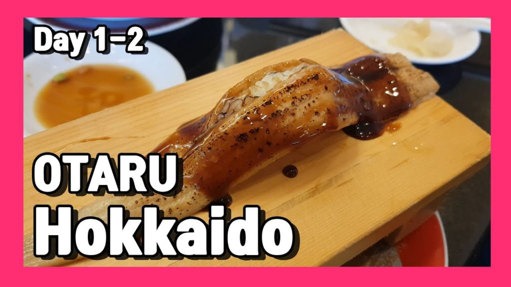 [여행vlog] 2019.7.3~7 홋카이도 여행 DAY.1-2 ✈️ Travel to Hokkaido, Japan ✈️ 北海道