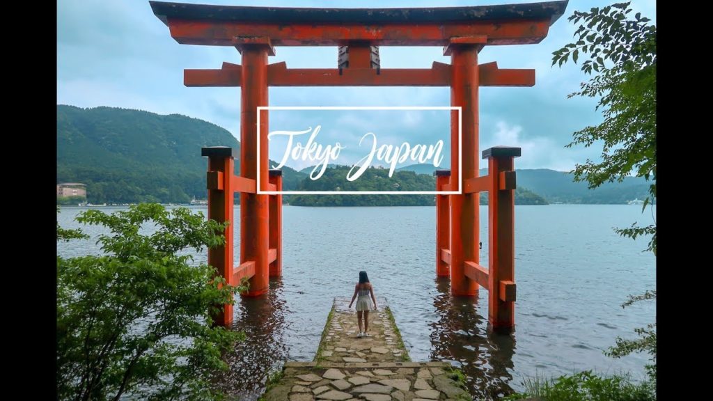 Tokyo Japan Travel Video | 2018