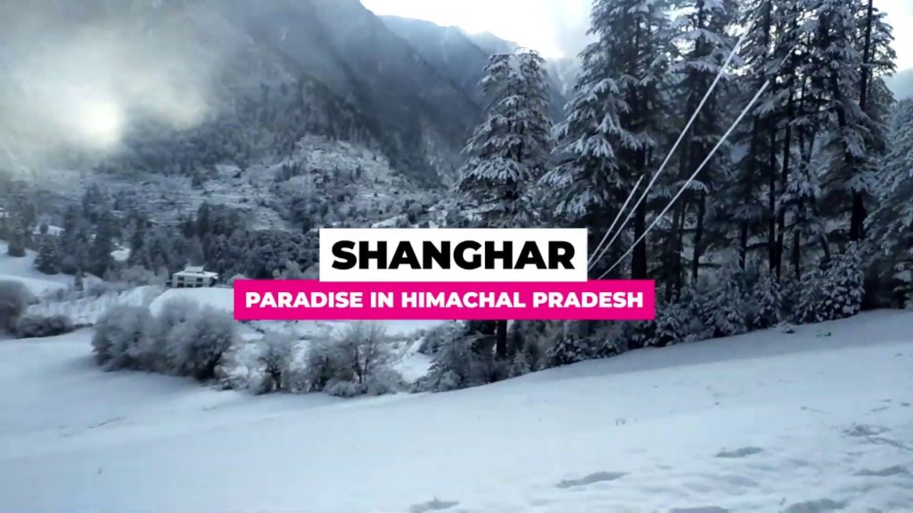 Shanghar - Top Offbeat Destination to Visit in Summer | Best Places to Visit in Himachal