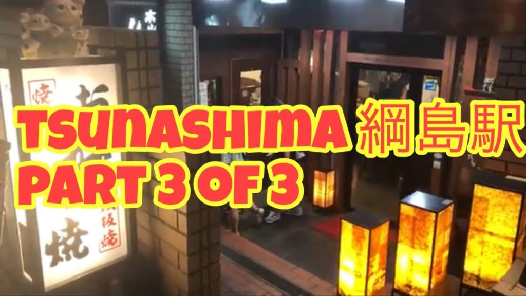 Tsunashima Station (Part 2 of 3) Yokohama, Japan