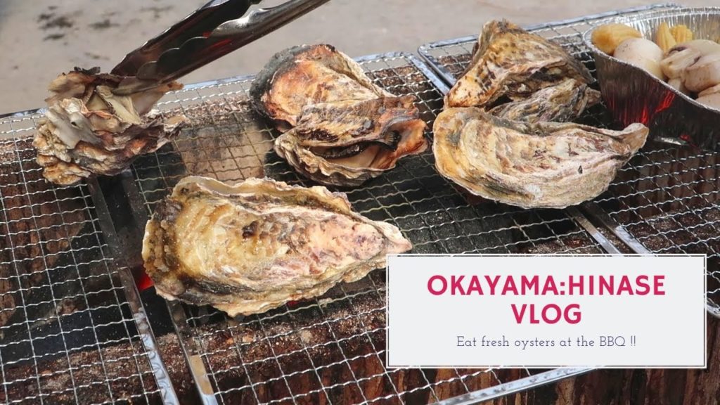 【Vlog】岡山グルメ/日生日帰り旅/牡蠣を食べるだけの動画
