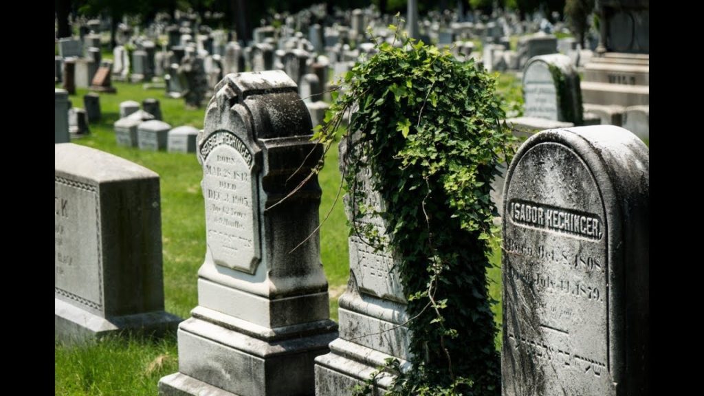 Quiet Cemetery Scenes (4K, No Commentary) Quiet Cemetery Scenes (4K, No Commentary)