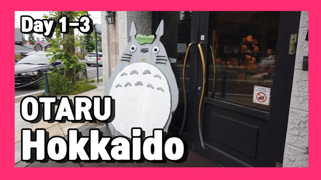 [여행vlog] 2019.7.3~7 홋카이도 여행 DAY.1-3 ✈️ Travel to Hokkaido, Japan ✈️ 北海道