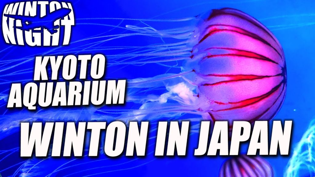 Kyoto Aquarium WINTON IN JAPAN - EPISODE 5