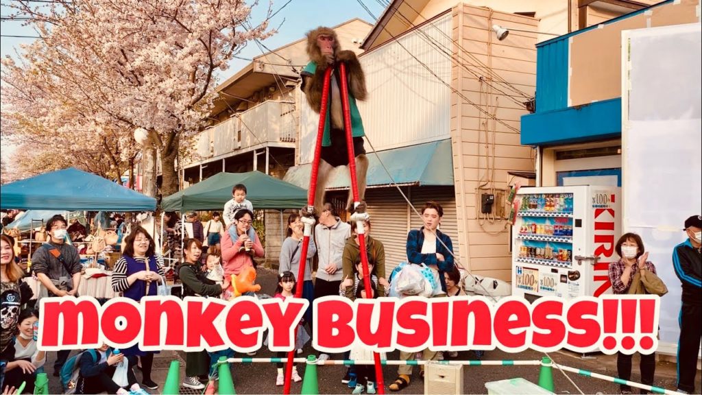 STREET PERFORMER: Talented monkey in Japan