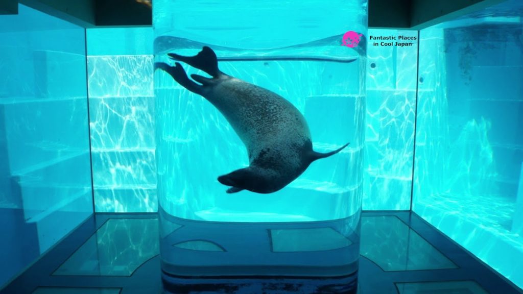 Marine World Uminonakamichi, Fukuoka Marine World Uminonakamichi, Fukuoka