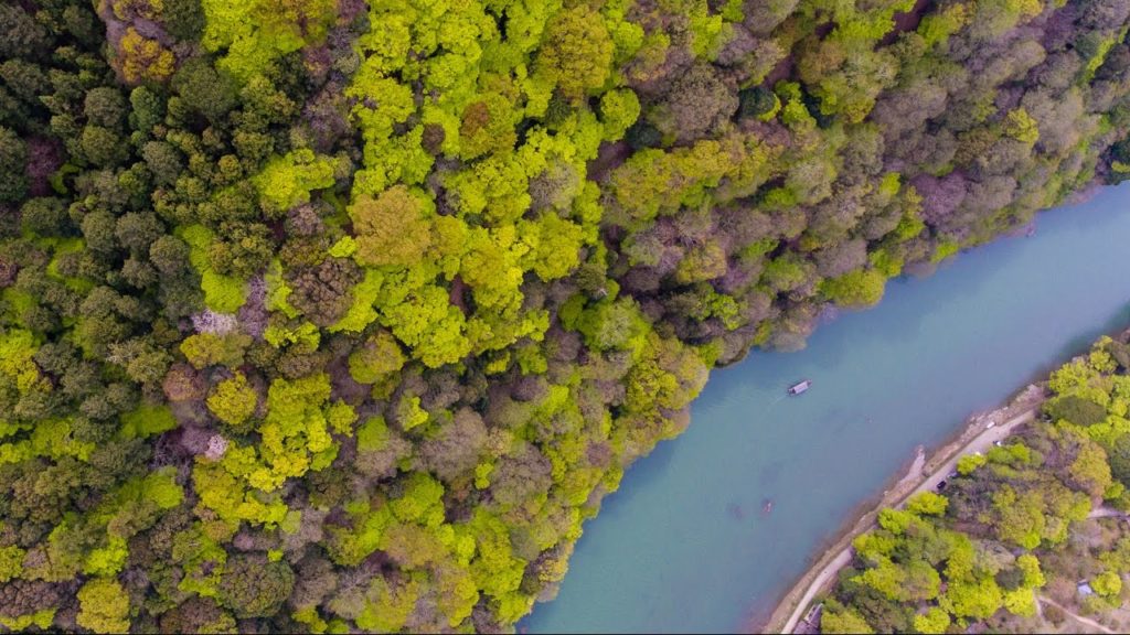 DJI Phantom 4 － Kyoto, Japan 日本京都．嵯峨野美山町航拍 [4K]