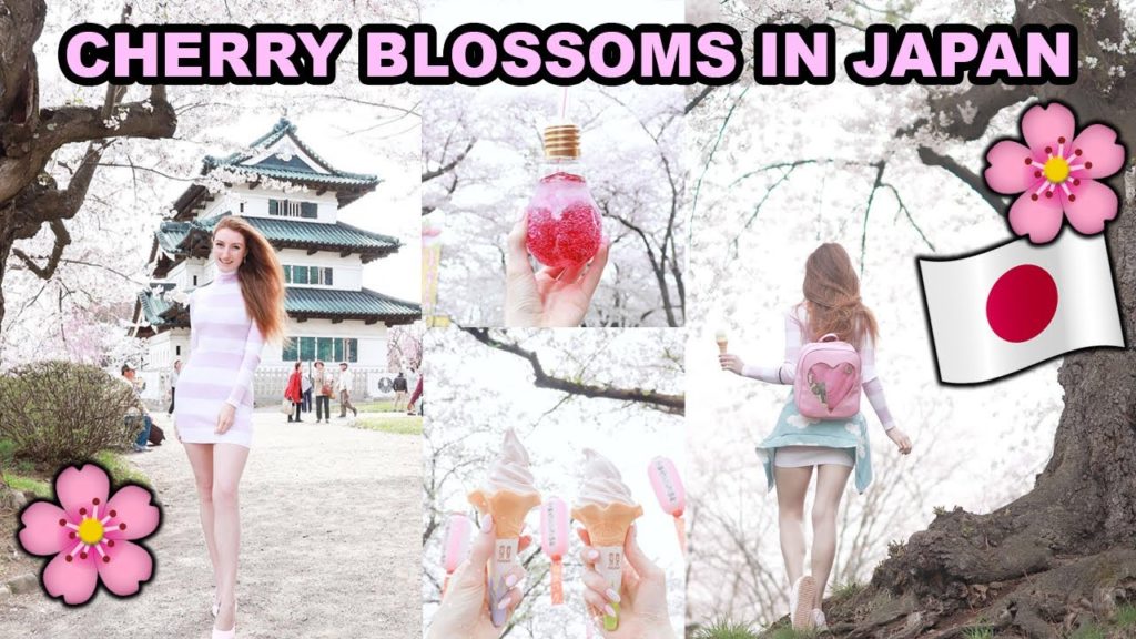 JAPAN VLOG: THE BEST CHERRY BLOSSOMS IN JAPAN | Late Blooming Sakura Cherry Blossoms You MUST See!