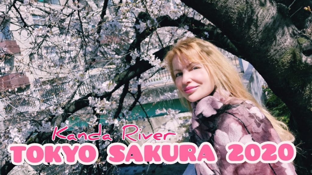 Adeyto 🌸 SECRET 2020 SAKURA TOKYO CHERRY BLOSSOM KANDA RIVER Shinjuku LOCATION