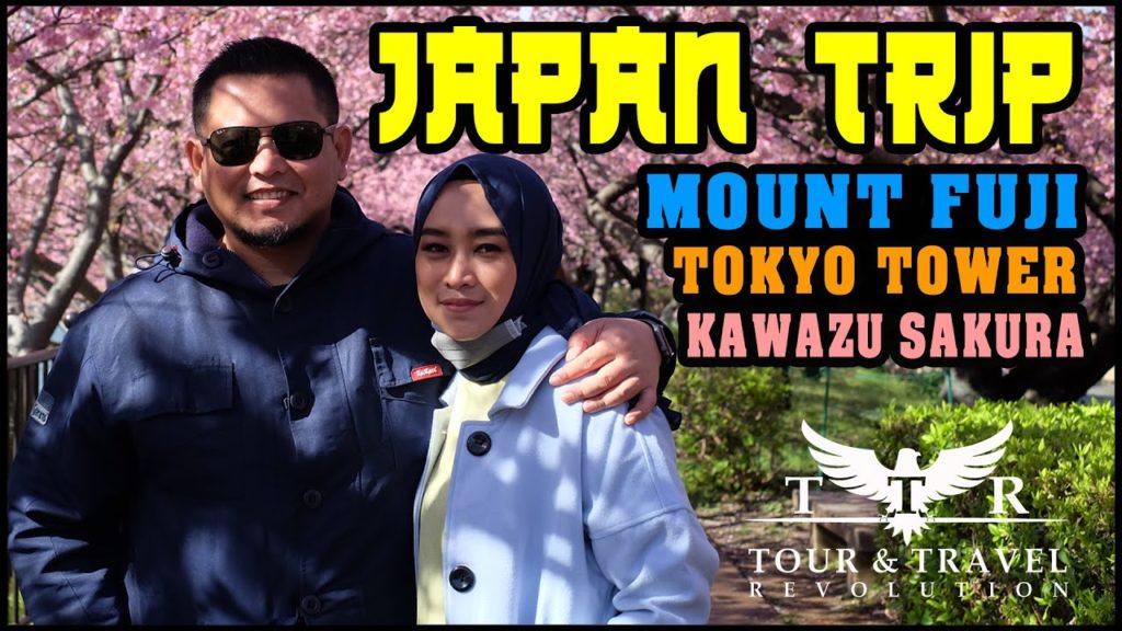 Japan Trip (Mount Fuji, Tokyo Tower, Kawazu Sakura) Japan Trip (Mount Fuji, Tokyo Tower, Kawazu Sakura)