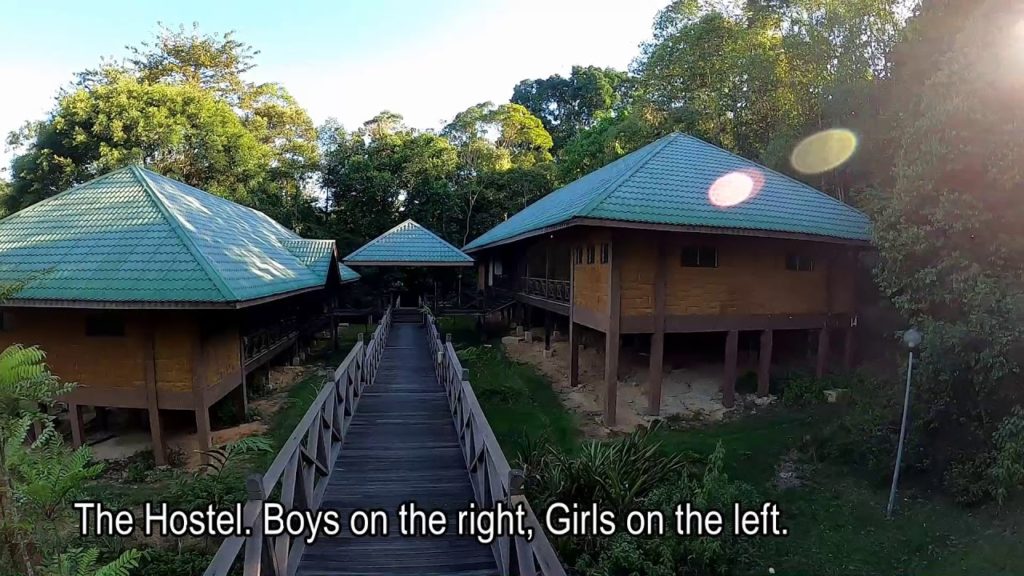 Maliau Basin Travel Guide, March 2020