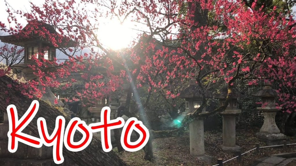 My Time in Kyoto