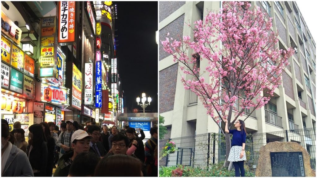 JAPAN | TRAVEL DIARY